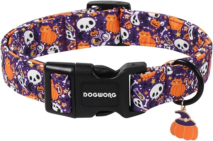 HarvestPaws Fall Dog Collar – Pumpkin & Sunflower Adjustable Design