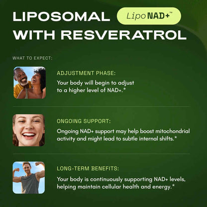 Maximum Absorption Liposomal NAD+ Supplement with Resveratrol & TMG