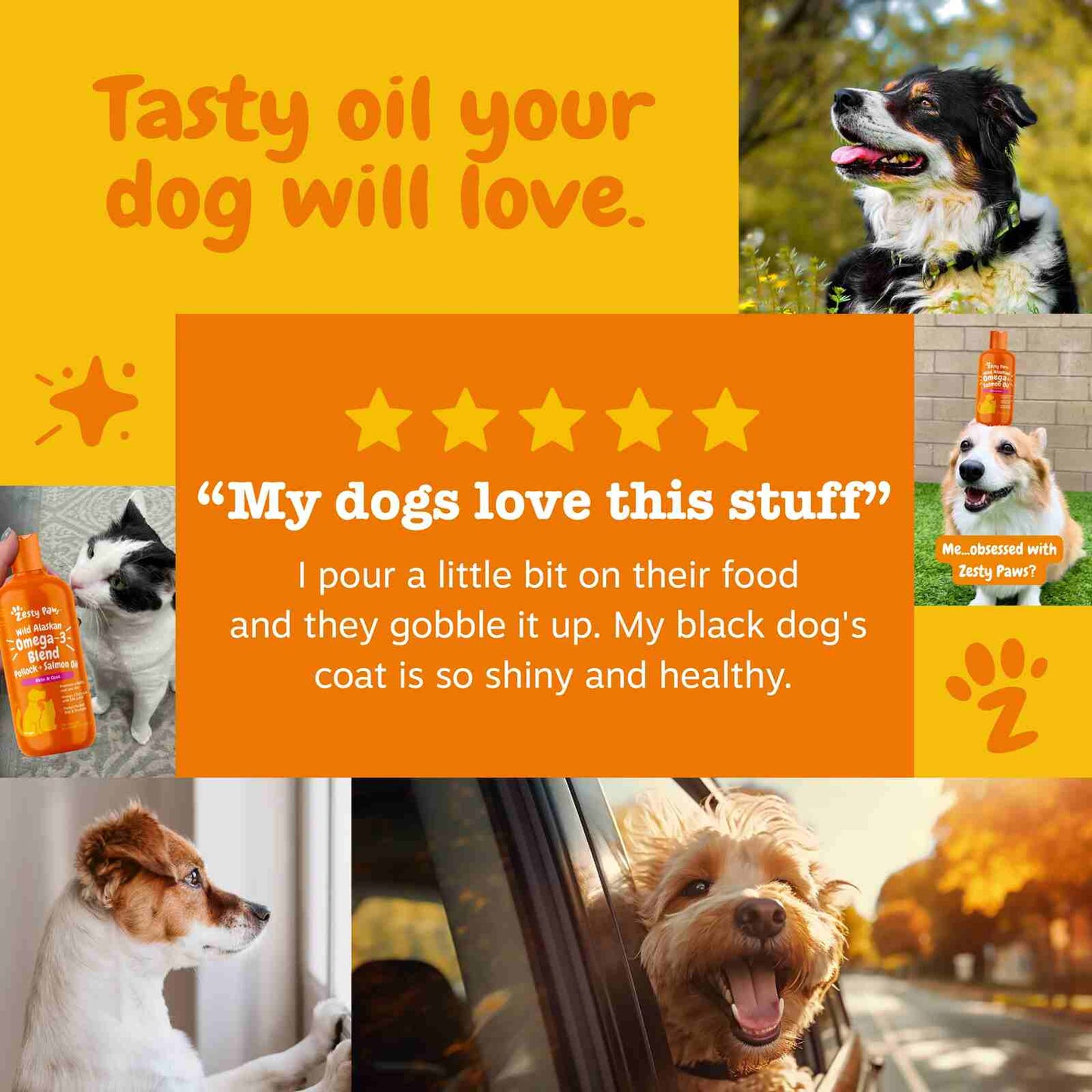Revitalize Your Pet’s Coat and Health with Premium Wild Alaskan Salmon Oil