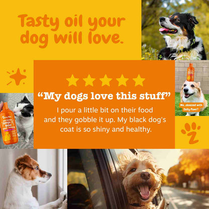 Revitalize Your Pet’s Coat and Health with Premium Wild Alaskan Salmon Oil