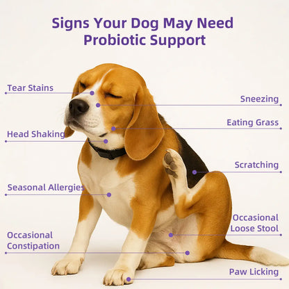 8-in-1 Total Health Support Dog Multivitamin Chews