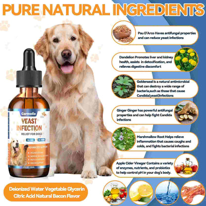Dog Ear & Skin Relief Drops – Natural Allergy & Yeast Treatment