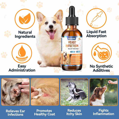 Dog Ear & Skin Relief Drops – Natural Allergy & Yeast Treatment