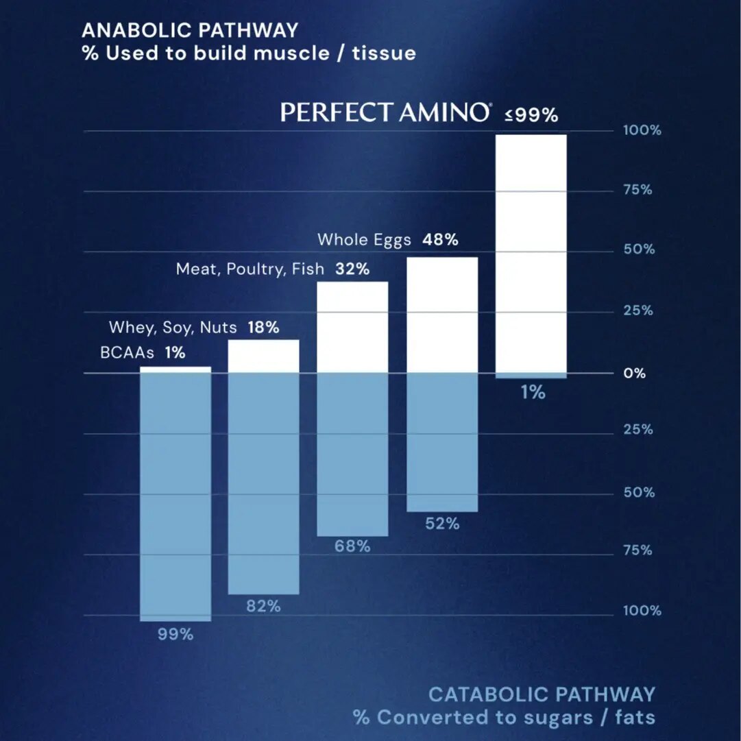 Essential Amino Acid Tablets for Rapid Muscle Recovery & Daily Vitality