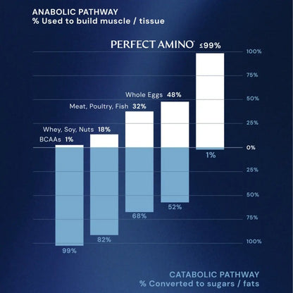 Essential Amino Acid Tablets for Rapid Muscle Recovery & Daily Vitality