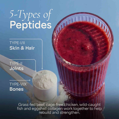 All-in-One Multi Collagen Protein Powder – Hydrolyzed Types I, II, III, V & X