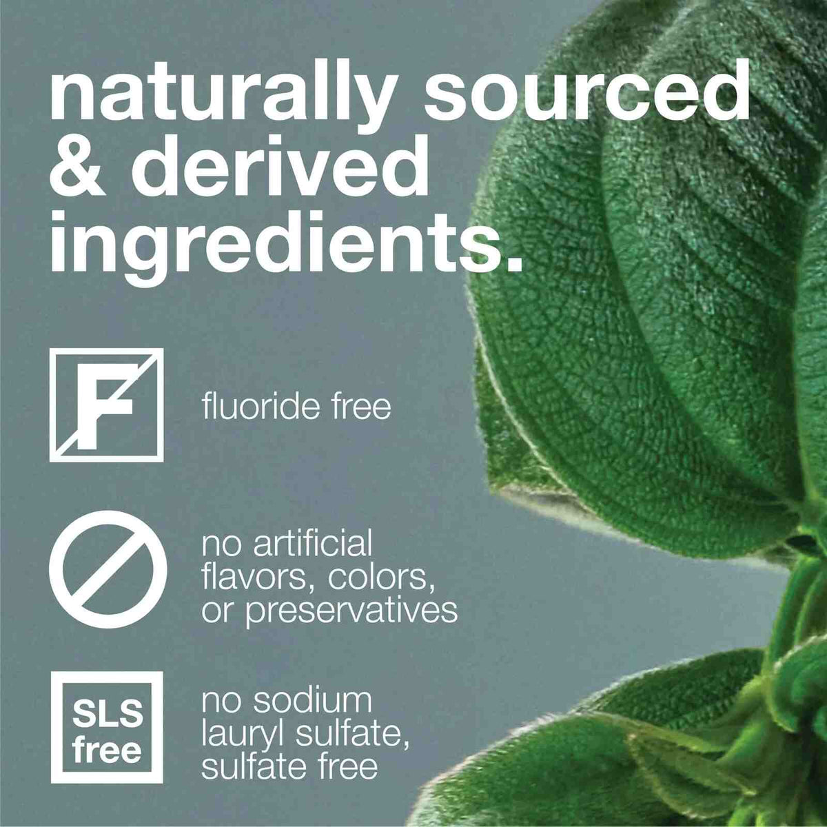 [BUY 1 GET 1 FREE] Nano-Hydroxyapatite Remineralizing Toothpaste & Bamboo Toothbrush Starter Kit