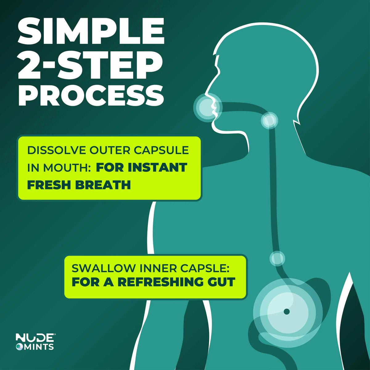 [BUY 1 GET 1 FREE] Long-lasting peppermint freshness for bad breath.