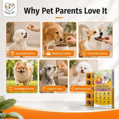Pet Chicken Flavor Soft Treats for Adult Dogs