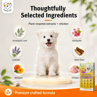 Pet Chicken Flavor Soft Treats for Adult Dogs
