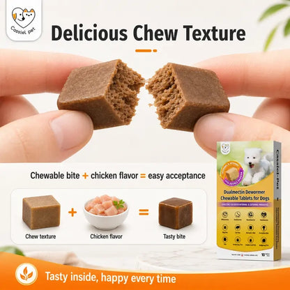 Pet Chicken Flavor Soft Treats for Adult Dogs