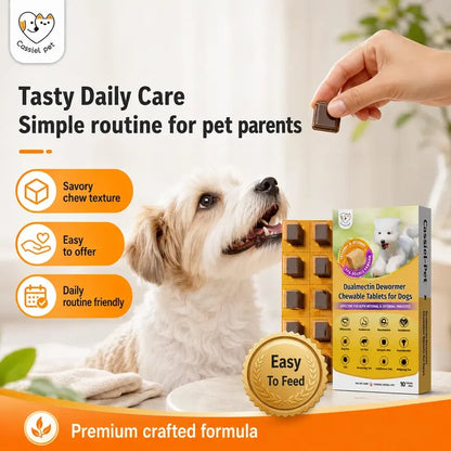 Pet Chicken Flavor Soft Treats for Adult Dogs