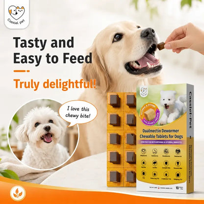 Pet Chicken Flavor Soft Treats for Adult Dogs