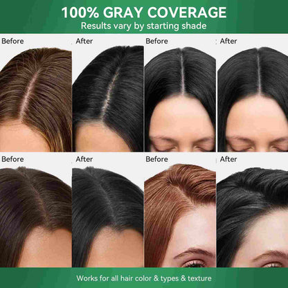 Cover Gray Hair Instantly with Herbal Hair Dye Shampoo
