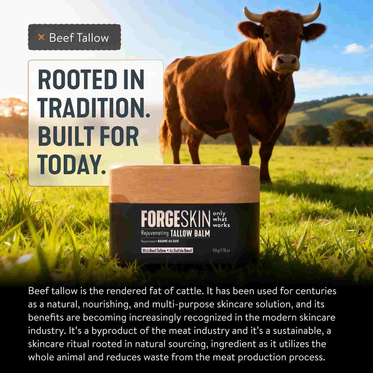 Natural Anti-Aging Beef Tallow & Honey Men's Face Balm