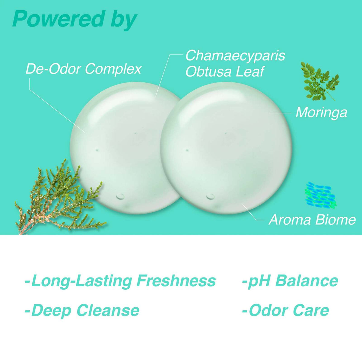 [BUY 1 GET 1 FREE] Cooling daily wash for fresh, clean comfort.