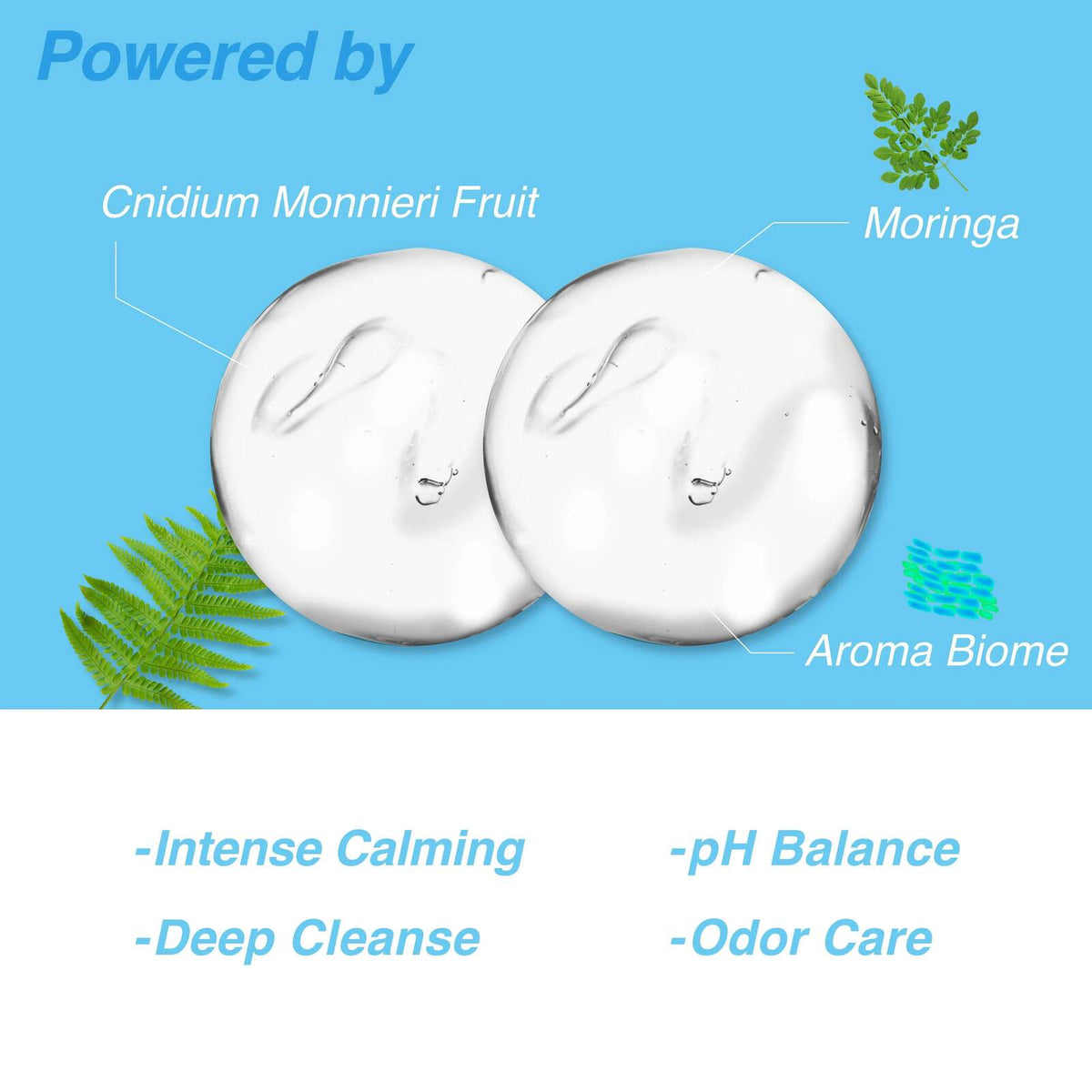 [BUY 1 GET 1 FREE] Cooling daily wash for fresh, clean comfort.