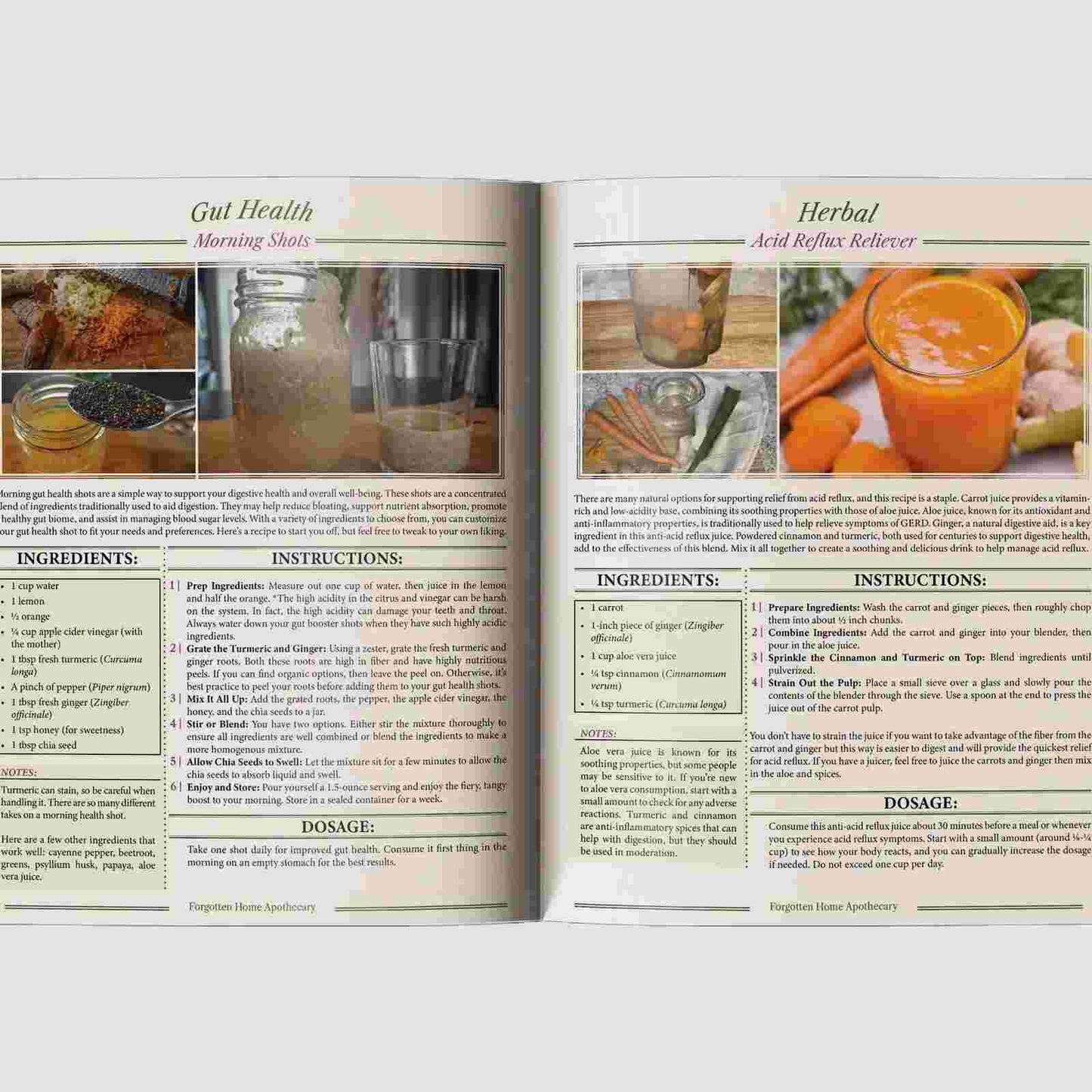 Reclaim Your Health with The Forgotten Home Apothecary Natural Remedy Guide