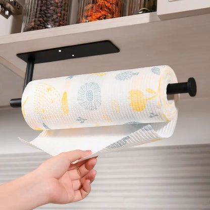 Stainless Steel Cabinet and Wall Paper Towel Holder