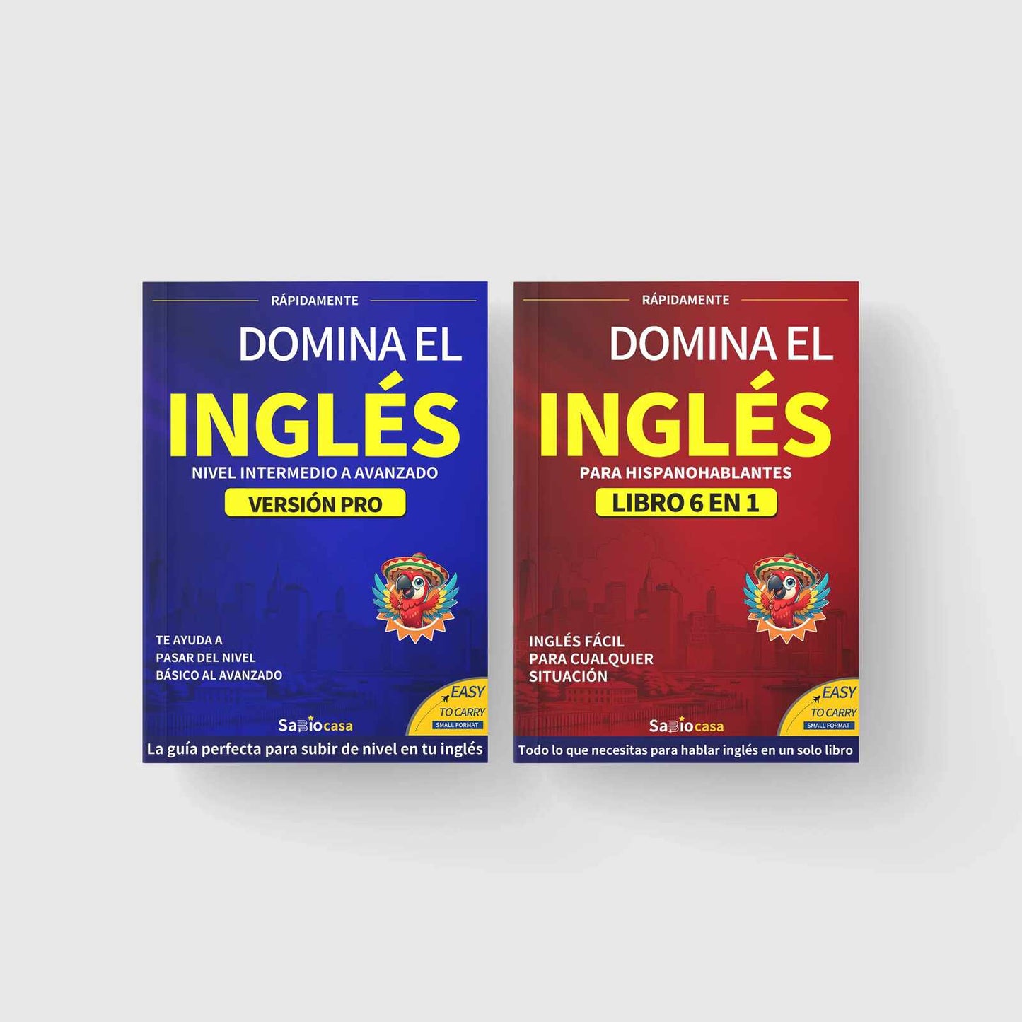 Master Native English: Pronunciation & Conversation Guide