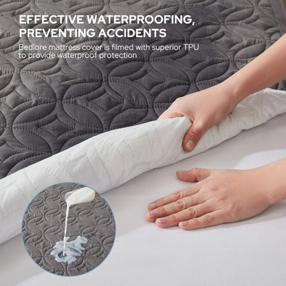 Copper Coin Pattern Waterproof Mattress Protector Soft & Dirt-Proof Sheet
