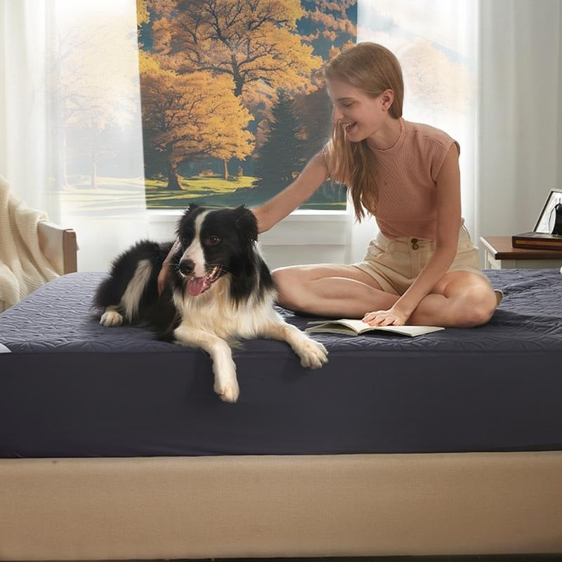 Copper Coin Pattern Waterproof Mattress Protector Soft & Dirt-Proof Sheet