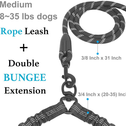 360 Swivel No Tangle Walking Leash