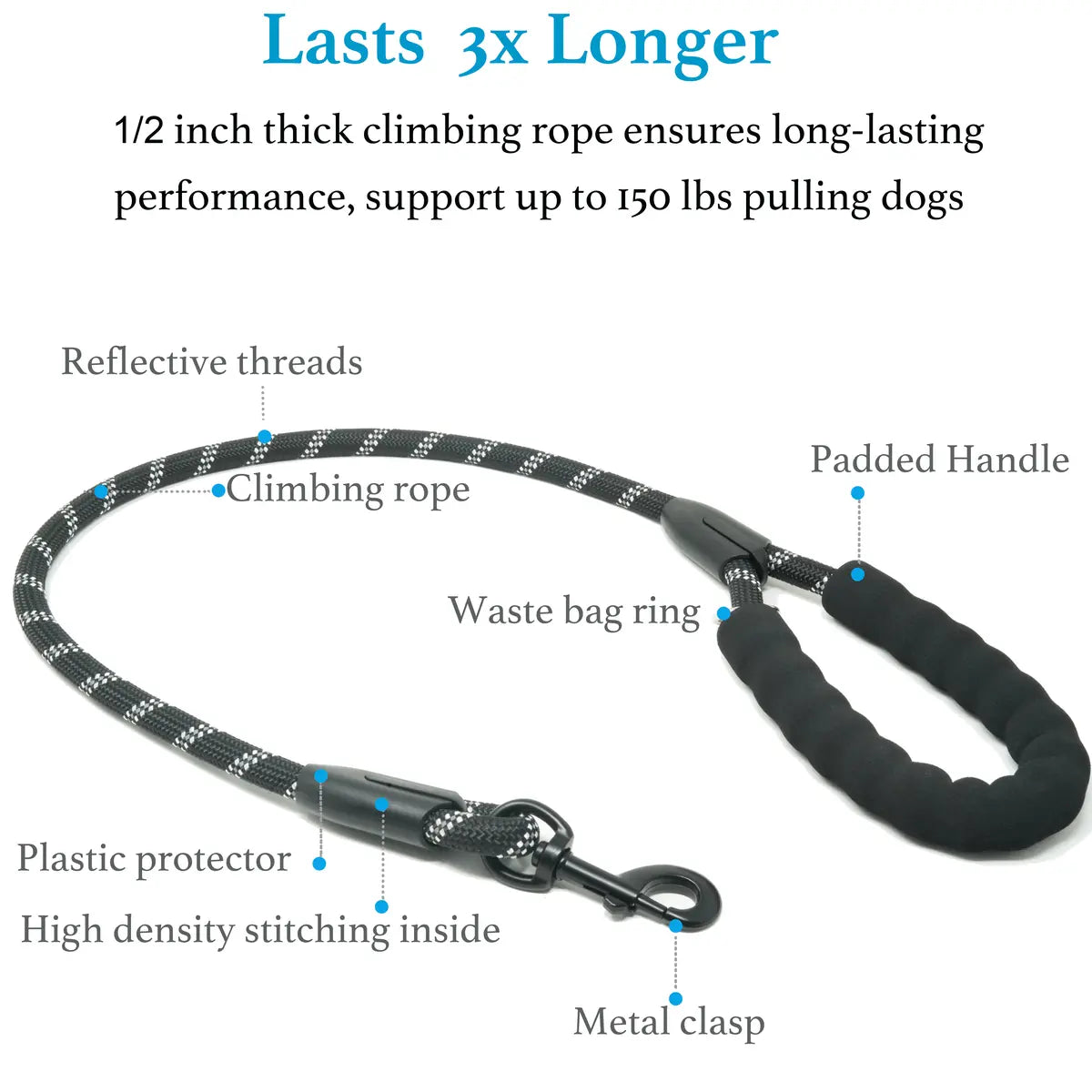360 Swivel No Tangle Walking Leash