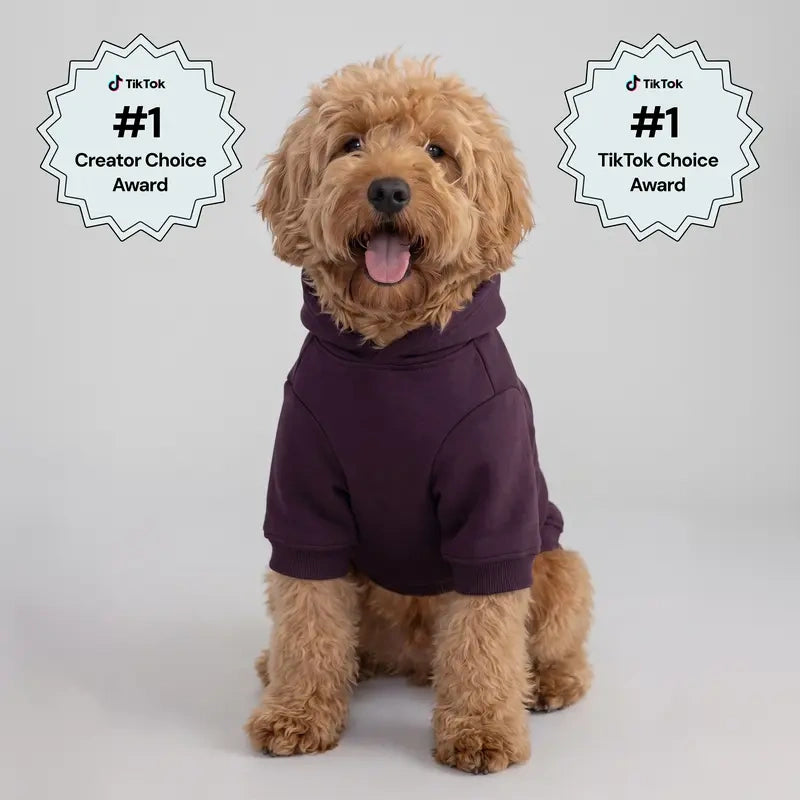 Minimalist Hoodie | Soft Pet Matching Hoodie Puppy