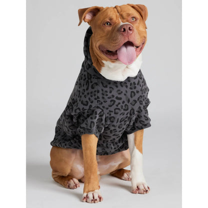 Minimalist Hoodie | Soft Pet Matching Hoodie Puppy