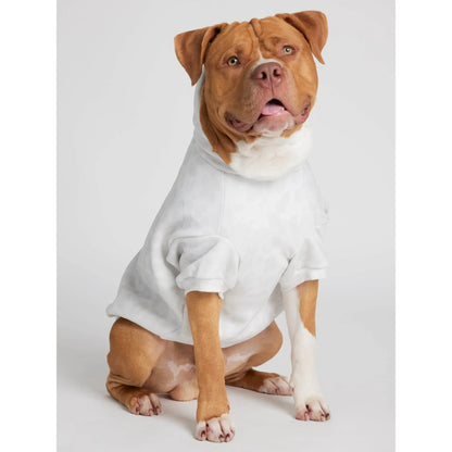 Minimalist Hoodie | Soft Pet Matching Hoodie Puppy