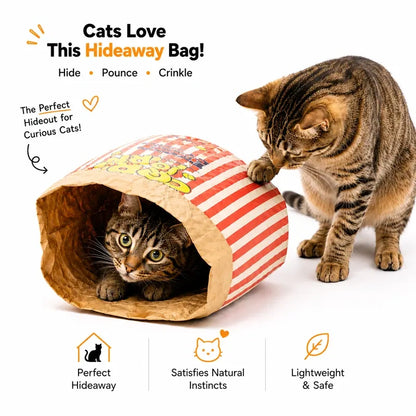 Upgrade Cardboard Cat Hideout
