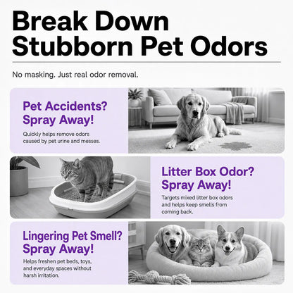 Pet Odor Eliminator & Stain Remover Spray