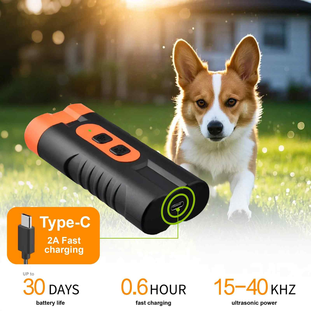 Rechargeable training tool for barking control.