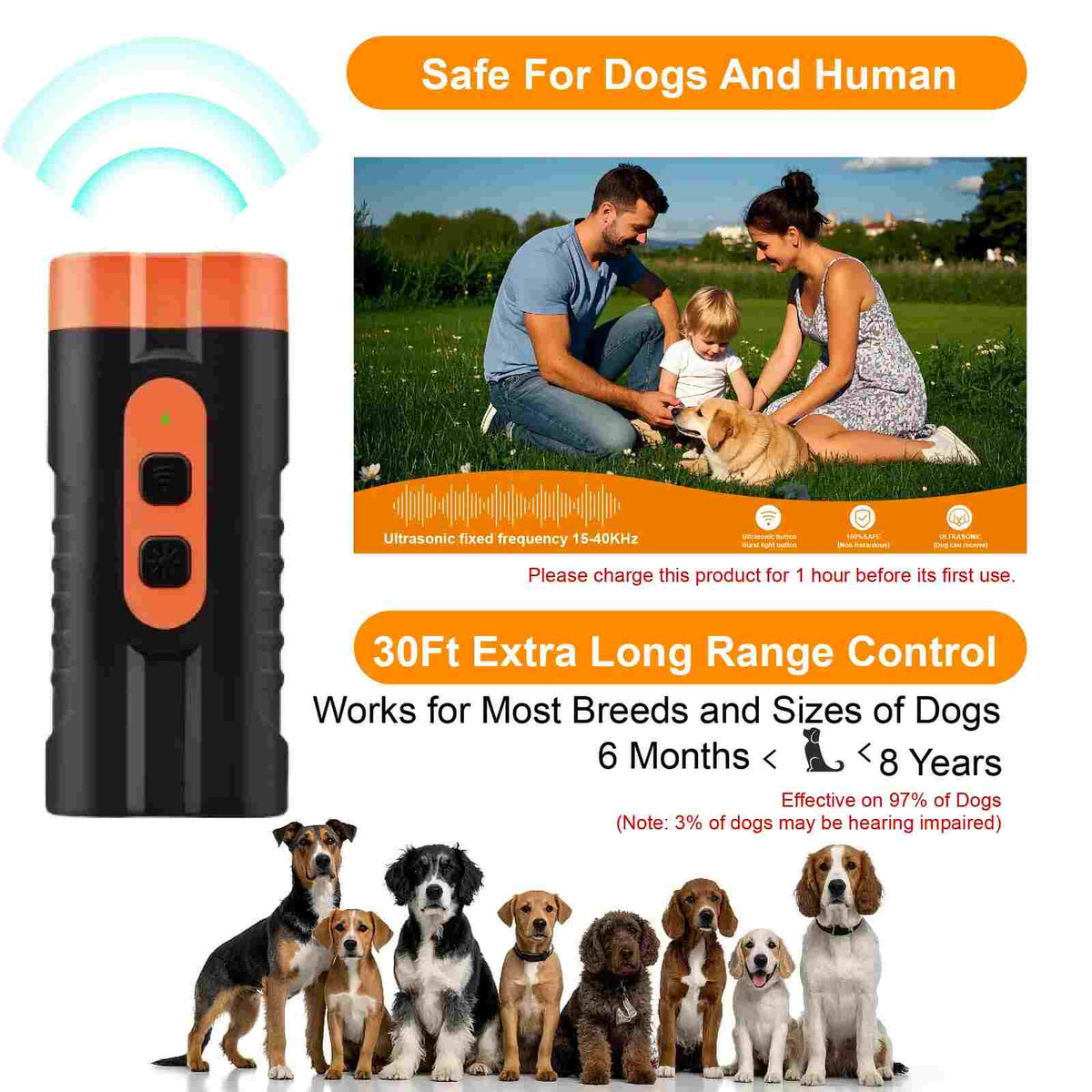 Rechargeable training tool for barking control.