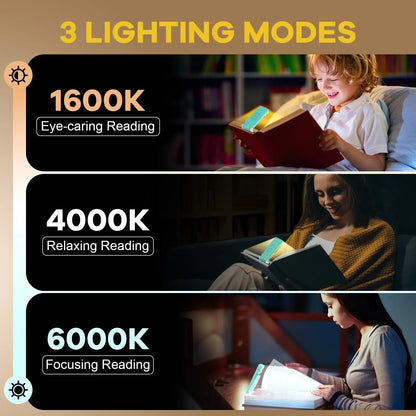 Summer USB Rechargeable Book Light