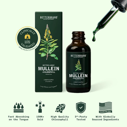 Betterbrand Mullein Leaf & Chlorophyll Drops