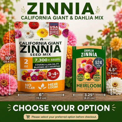 Zinnia Seeds (California Giant & Dahlia) – 100% Pure Heirloom Flower Seeds