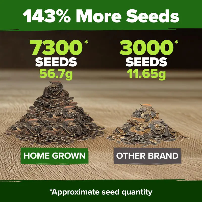 Zinnia Seeds (California Giant & Dahlia) – 100% Pure Heirloom Flower Seeds
