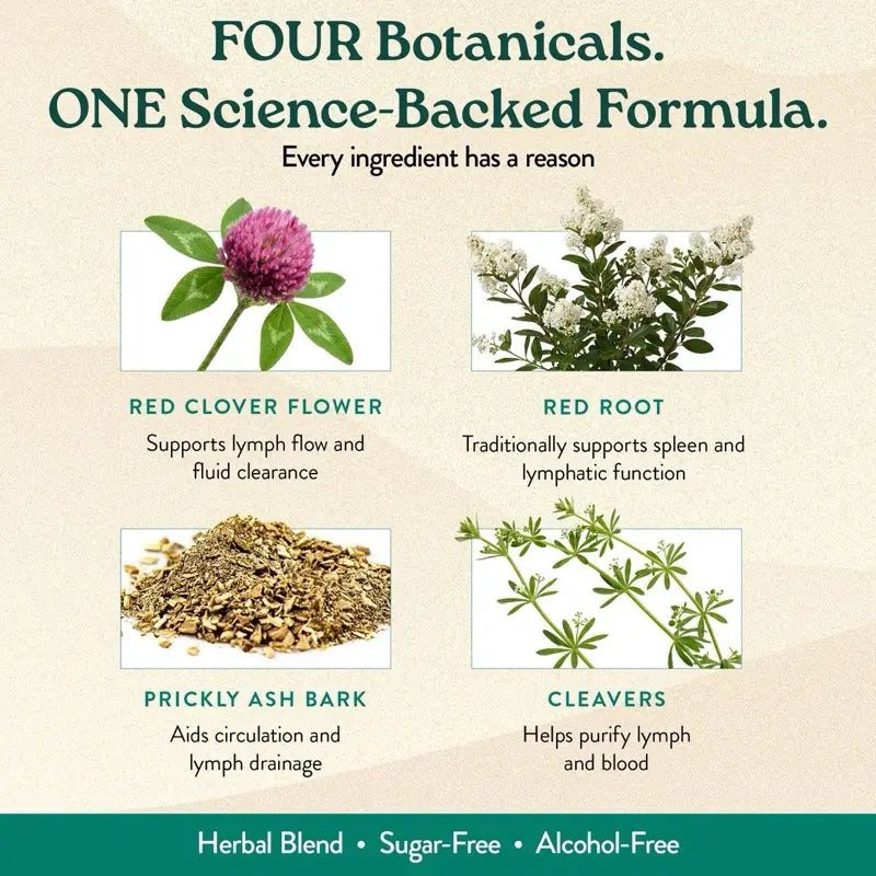 Four-Botanical Liquid Herbal Supplement — 2 Bottles - original gallery 3