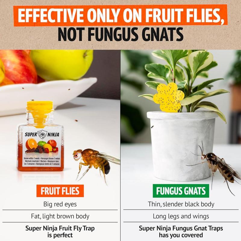 Eco-Friendly Fruit Fly Traps – Instant Indoor Pest Control